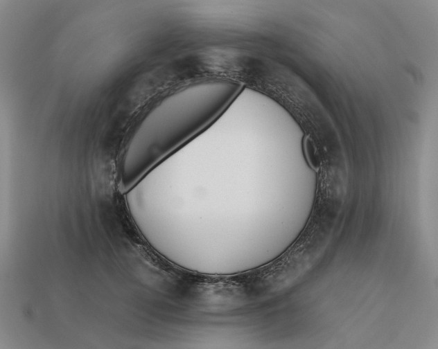 X0000112970752200909171318