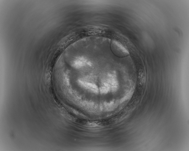 X0000112970753200909171318