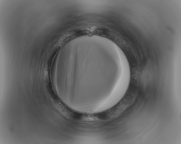 X0000112970754200909171318