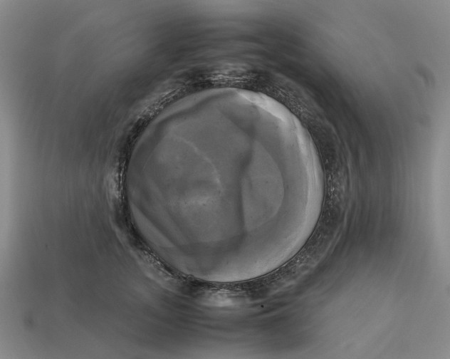 X0000112970755200909171318