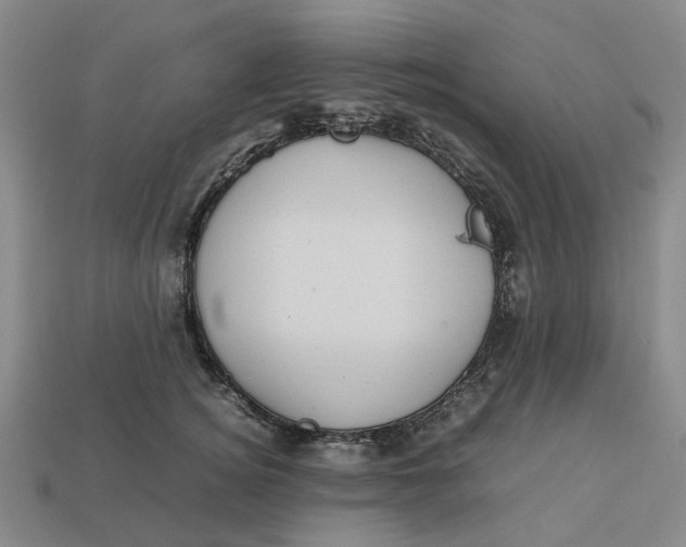 X0000112970756200909171318