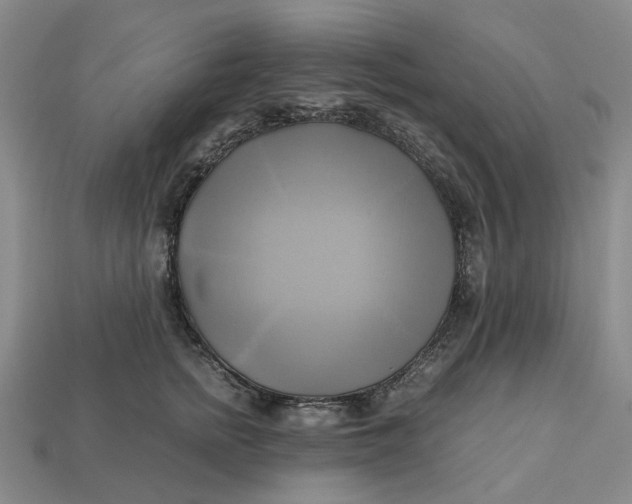 X0000112970758200909171318