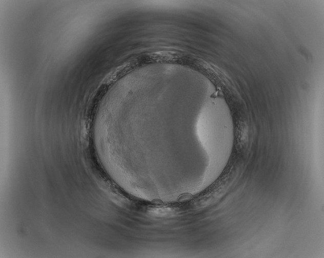 X0000112970759200909171318