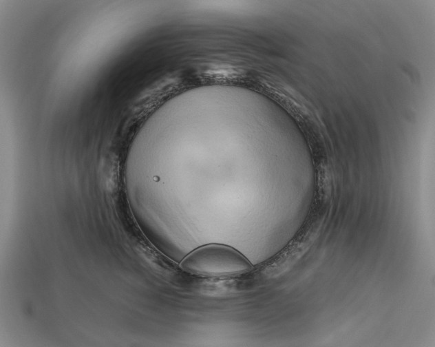 X0000112970760200909171318