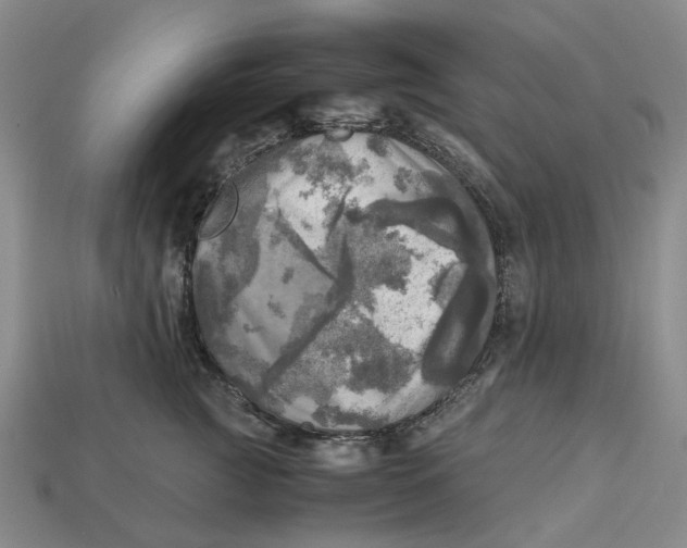 X0000112970761200909171318