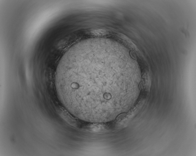 X0000112970762200909171318