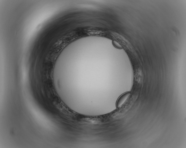 X0000112970763200909171318