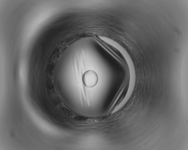 X0000112970764200909171318