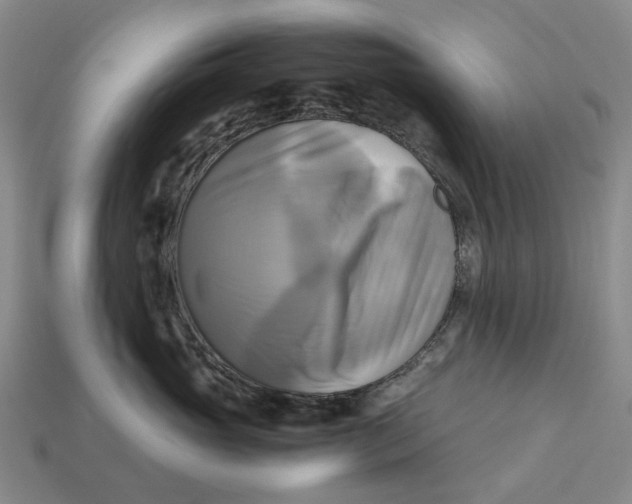 X0000112970765200909171318