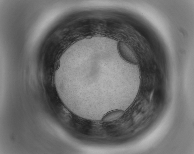 X0000112970766200909171318