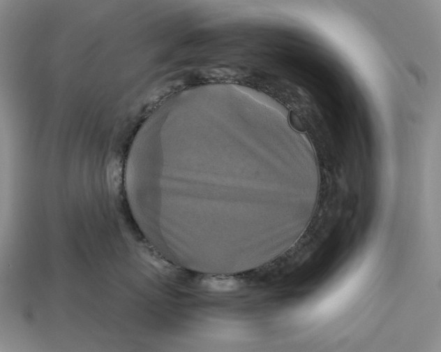 X0000112970767200909171318