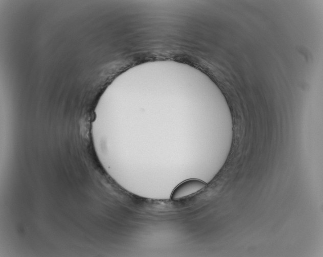 X0000112970768200909171318