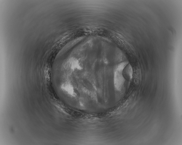 X0000112970770200909171317