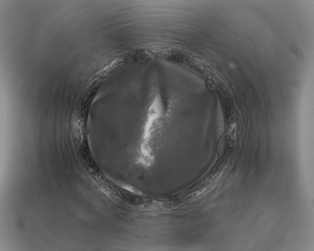 X0000112970772200909171317