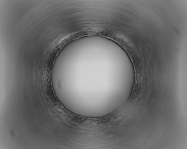 X0000112970773200909171317