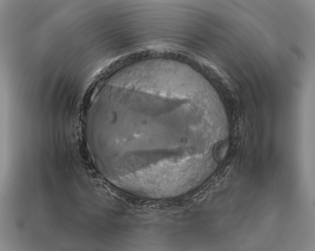 X0000112970776200909171317