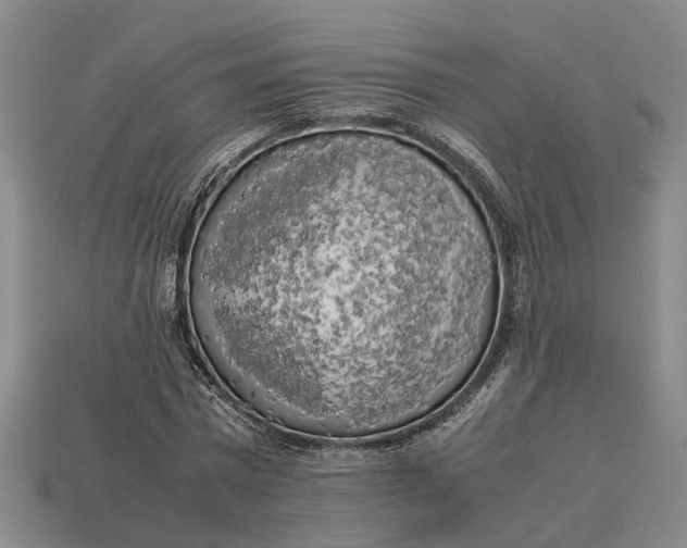 X0000112970777200909171317