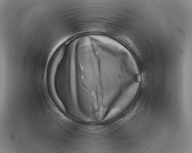 X0000112970780200909171317