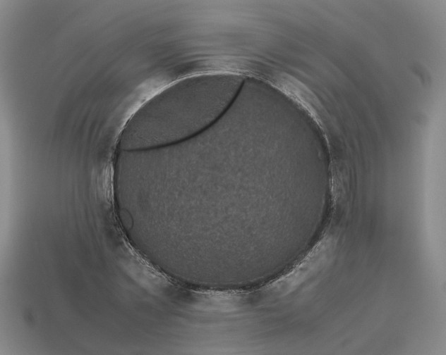 X0000112970781200909171317