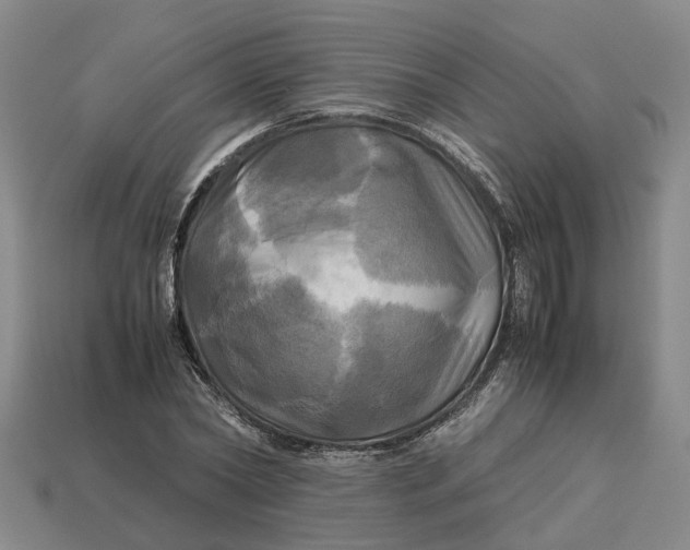 X0000112970782200909171317