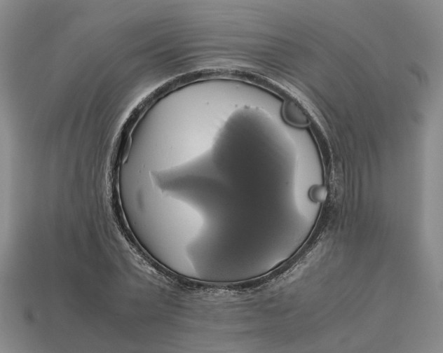 X0000112970783200909171317