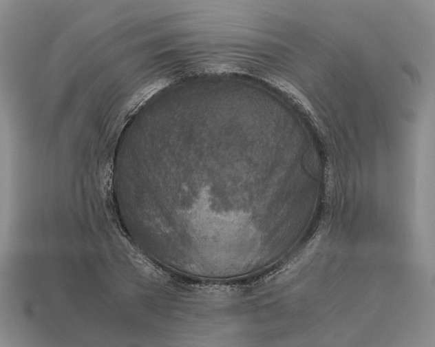 X0000112970785200909171317