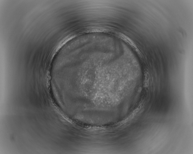 X0000112970786200909171317