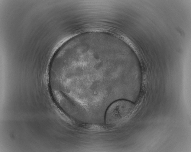 X0000112970787200909171317