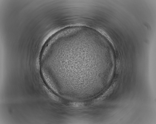 X0000112970789200909171317