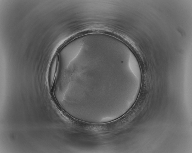 X0000112970791200909171317