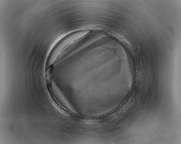 X0000112970792200909171317