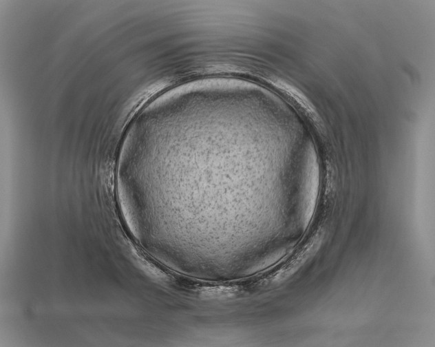 X0000112970793200909171317