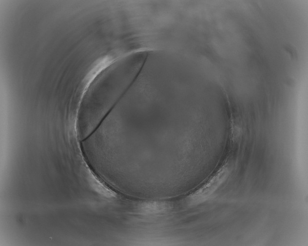 X0000112970797200909171317