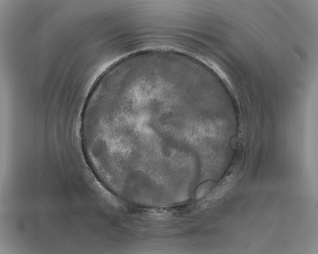 X0000112970799200909171317