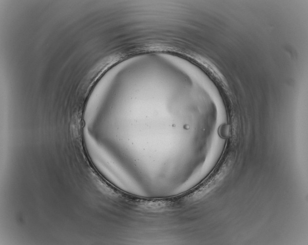 X0000112970801200909171317