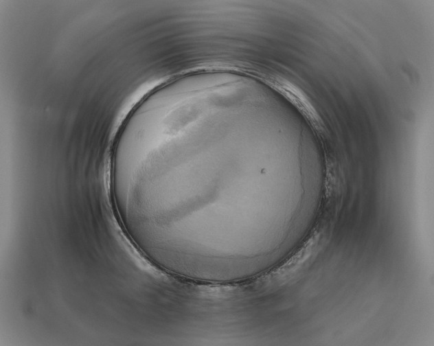 X0000112970804200909171317