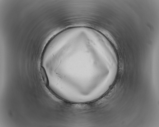 X0000112970805200909171317