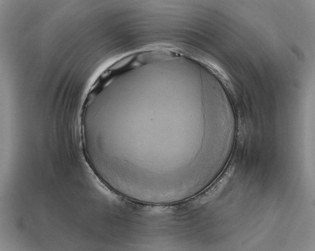 X0000112970808200909171317