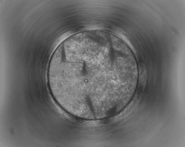 X0000112970810200909171317