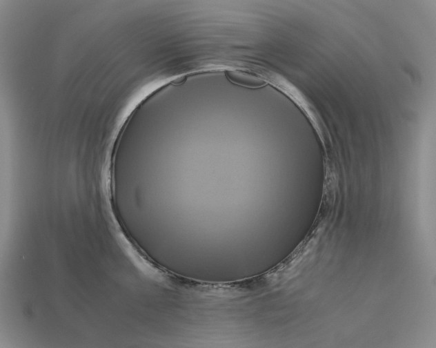 X0000112970811200909171317