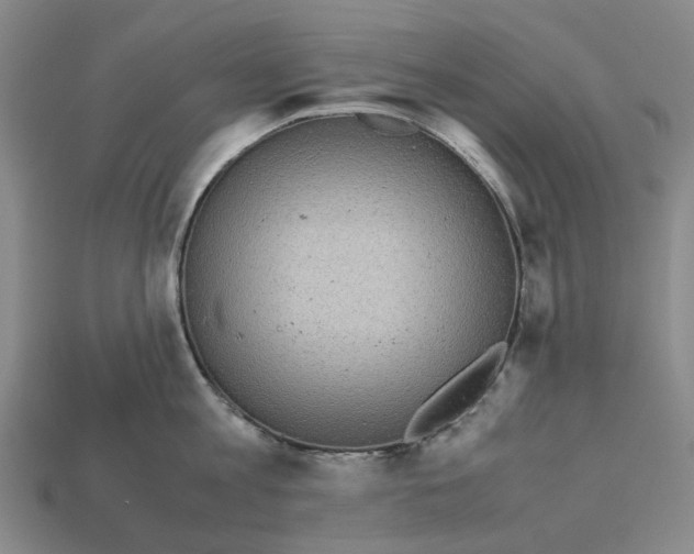 X0000112970813200909171317