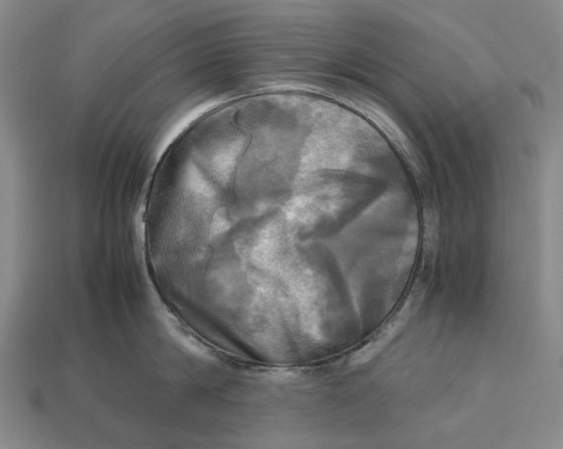 X0000112970814200909171317