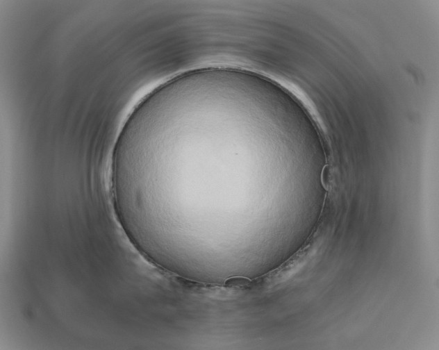 X0000112970815200909171317