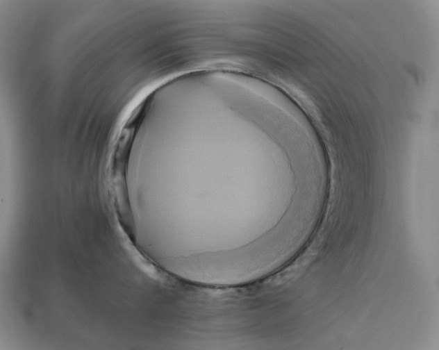 X0000112970816200909171317