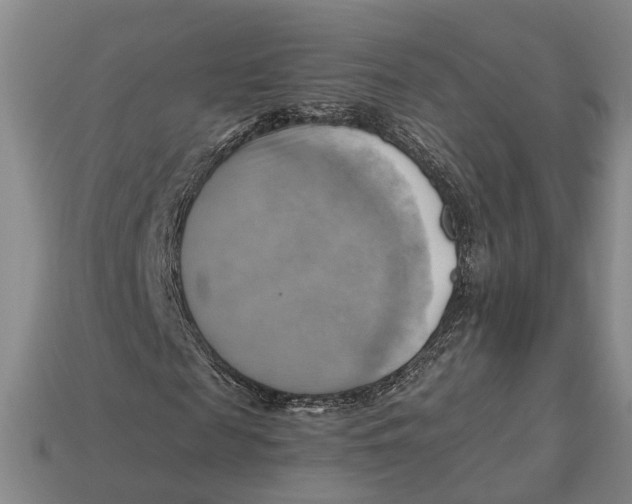 X0000112970817200909171316