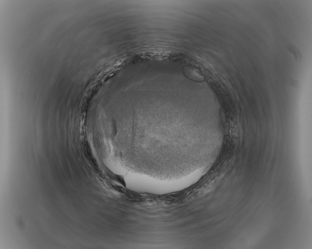 X0000112970818200909171316