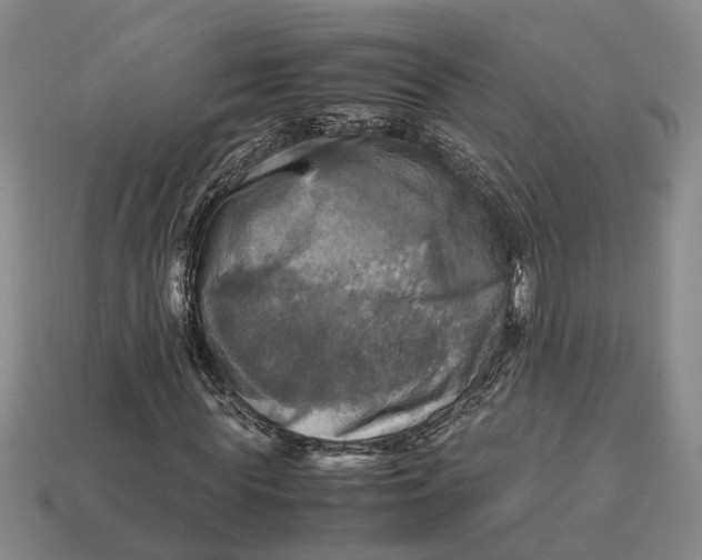 X0000112970819200909171316