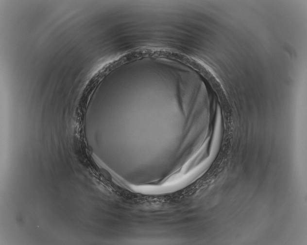 X0000112970823200909171316