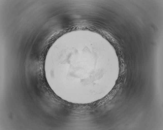 X0000112970824200909171316