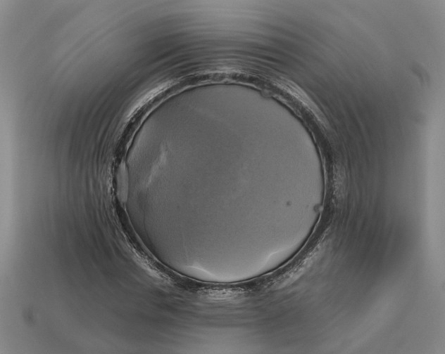 X0000112970826200909171316